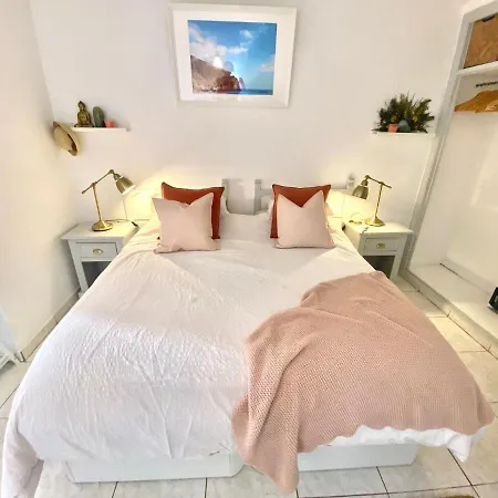 Sea View Penthouse With Large Terrace Appartement